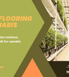 Right Flooring Solution for a Cannabis Growing Company